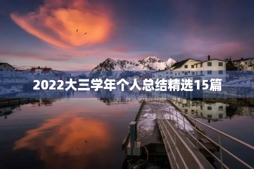 2022大三学年个人总结精选15篇