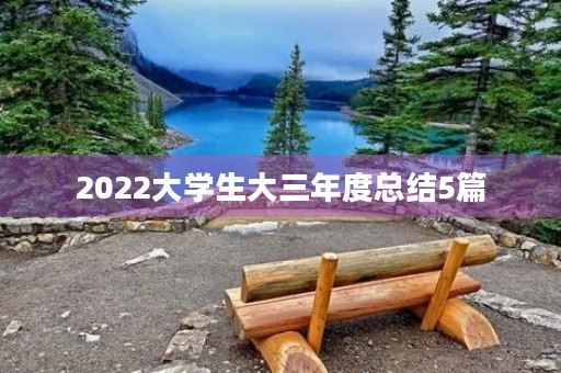 2022大学生大三年度总结5篇