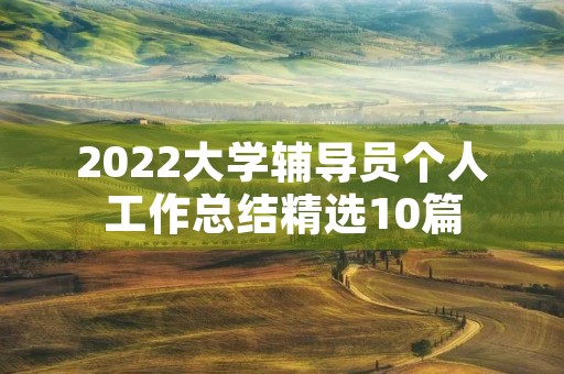 2022大学辅导员个人工作总结精选10篇