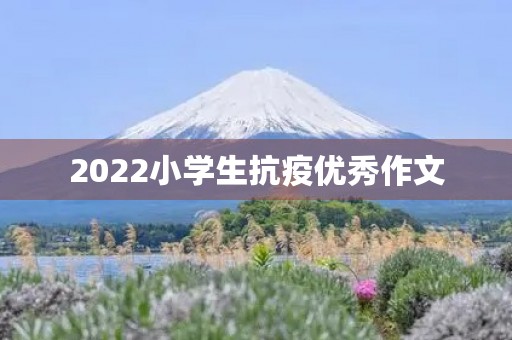 2022小学生抗疫优秀作文