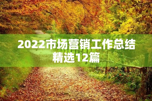 2022市场营销工作总结精选12篇
