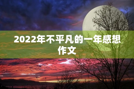 2022年不平凡的一年感想作文