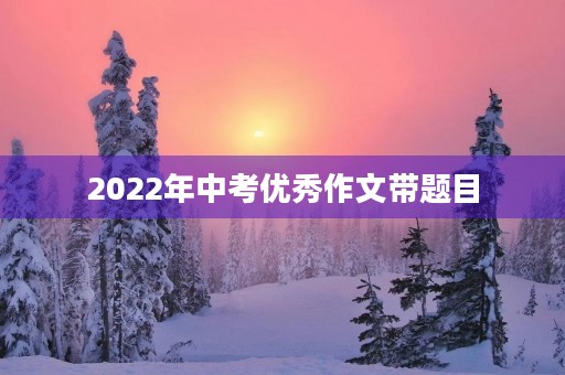 2022年中考优秀作文带题目