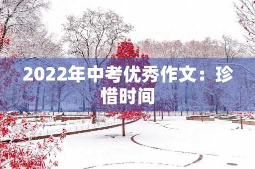 2022年中考优秀作文:珍惜时间,追求梦想 2022年中考优秀作文:珍惜时间,追求梦想