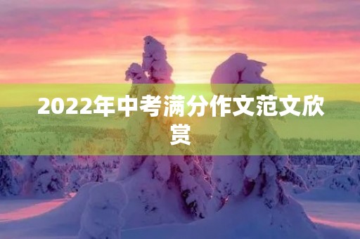 2022年中考满分作文范文欣赏 2022年中考满分作文范文欣赏