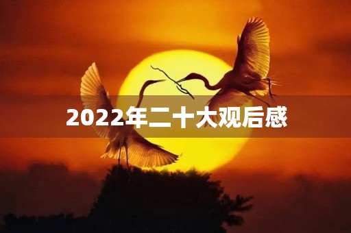 2022年二十大观后感
