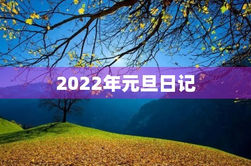 2022年元旦日记 2022年元旦日记