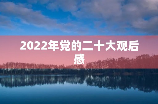 2022年党的二十大观后感