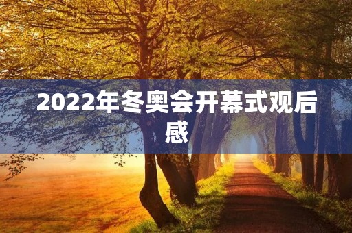 2022年冬奥会开幕式观后感