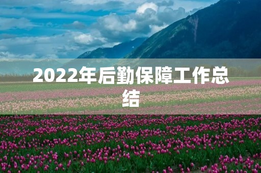 2022年后勤保障工作总结