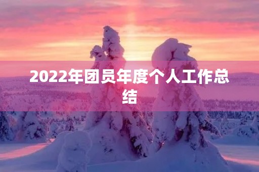 2022年团员年度个人工作总结