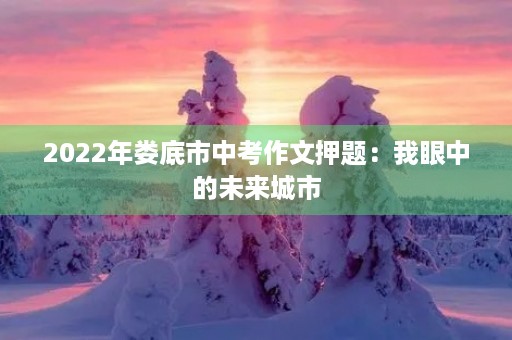 2022年娄底市中考作文押题：我眼中的未来城市