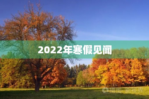 2022年寒假见闻