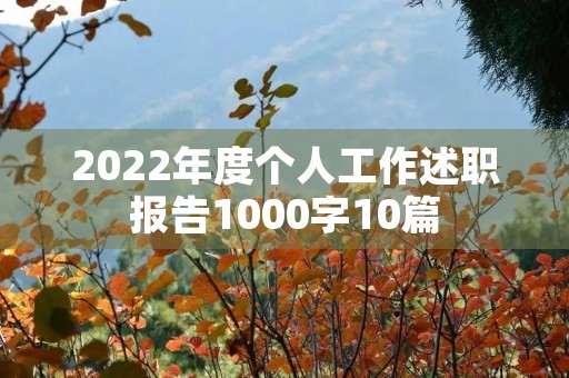 2022年度个人工作述职报告1000字10篇