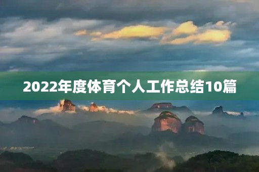 2022年度体育个人工作总结10篇