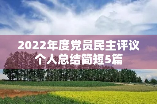 2022年度党员民主评议个人总结简短5篇