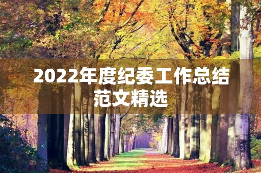 2022年度纪委工作总结范文精选