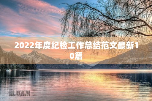 2022年度纪检工作总结范文最新10篇