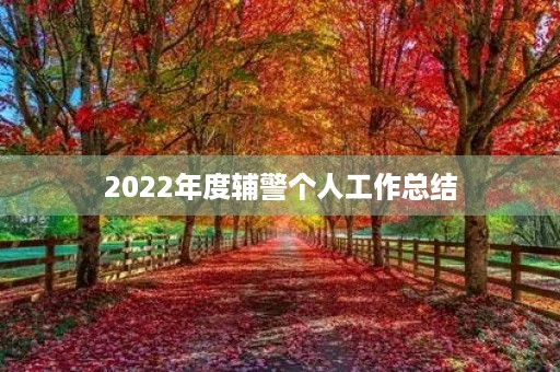 2022年度辅警个人工作总结