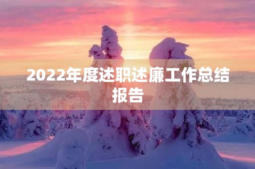 2022年度述职述廉工作总结报告 2022年度述职述廉工作总结报告