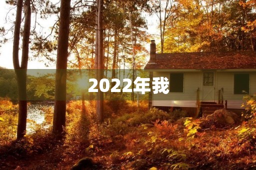 2022年我,是一个怎样的自己?
