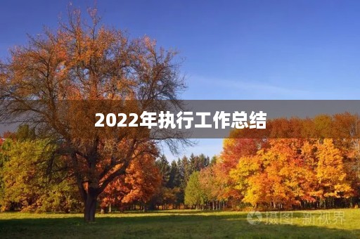 2022年执行工作总结