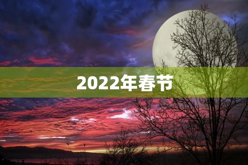 2022年春节，全新的庆祝方式