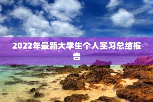 2022年最新大学生个人实习总结报告