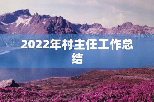 2022年村主任工作总结