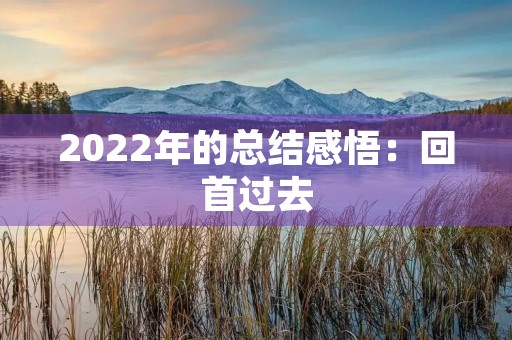2022年的总结感悟：回首过去，展望未来