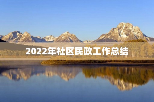 2022年社区民政工作总结