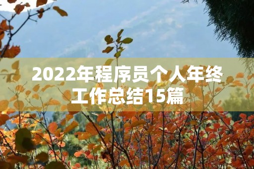 2022年程序员个人年终工作总结15篇