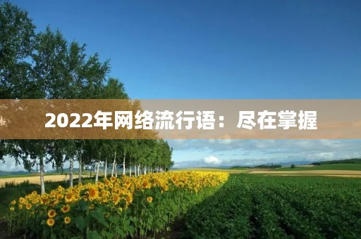 2022年网络流行语:尽在掌握 2022年网络流行语:尽在掌握