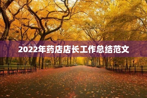 2022年药店店长工作总结范文