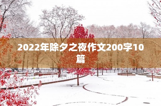 2022年除夕之夜作文200字10篇 2022年除夕之夜作文200字10篇