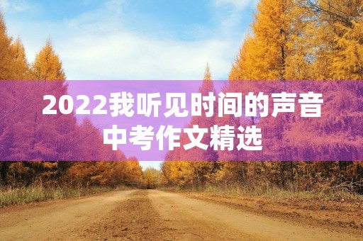 2022我听见时间的声音中考作文精选