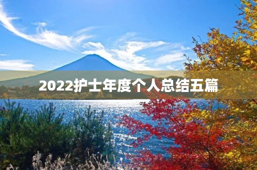 2022护士年度个人总结五篇