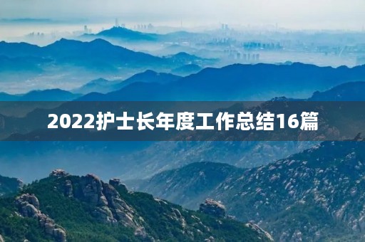 2022护士长年度工作总结16篇