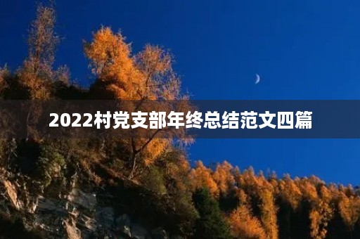 2022村党支部年终总结范文四篇