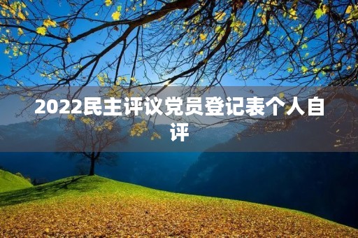2022民主评议党员登记表个人自评