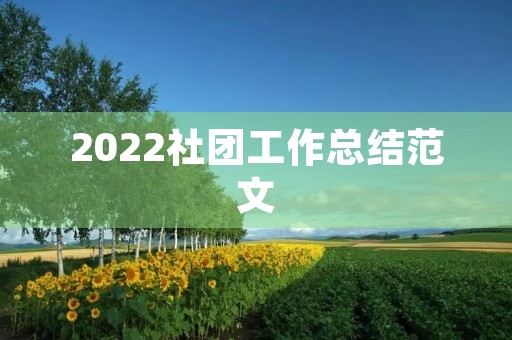 2022社团工作总结范文