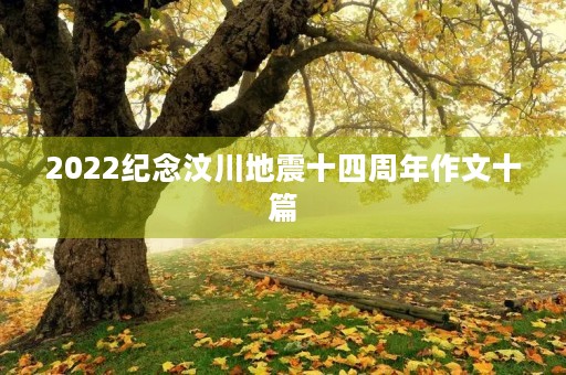 2022纪念汶川地震十四周年作文十篇 2022纪念汶川地震十四周年作文十篇