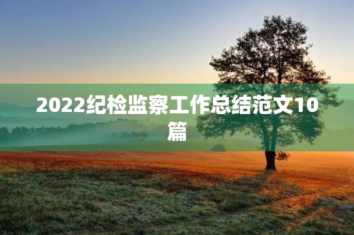 2022纪检监察工作总结范文10篇