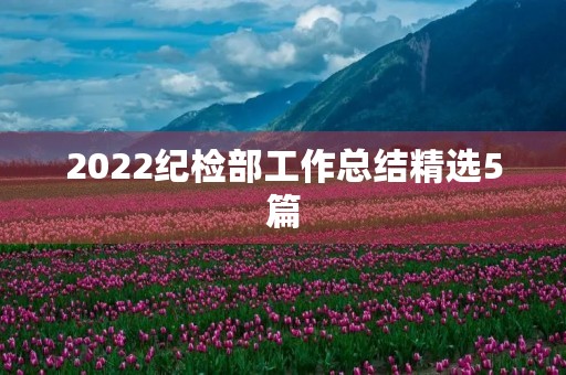 2022纪检部工作总结精选5篇