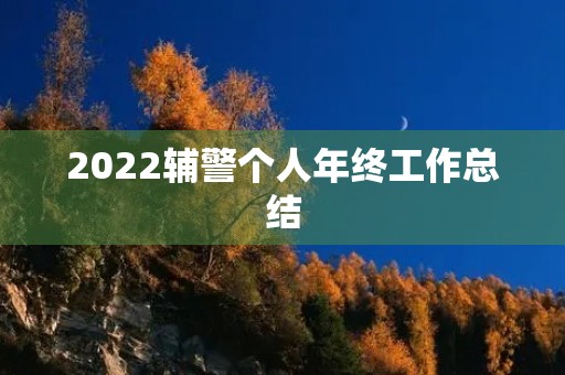 2022辅警个人年终工作总结