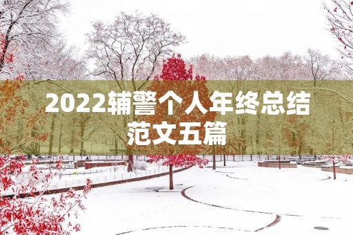 2022辅警个人年终总结范文五篇