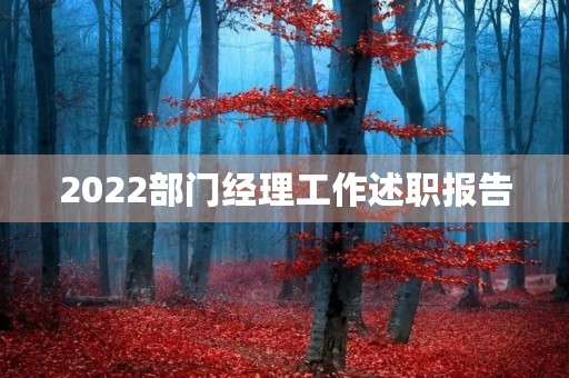 2022部门经理工作述职报告