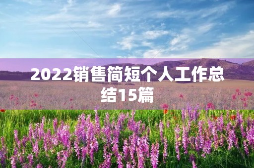 2022销售简短个人工作总结15篇