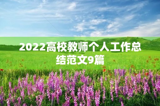 2022高校教师个人工作总结范文9篇