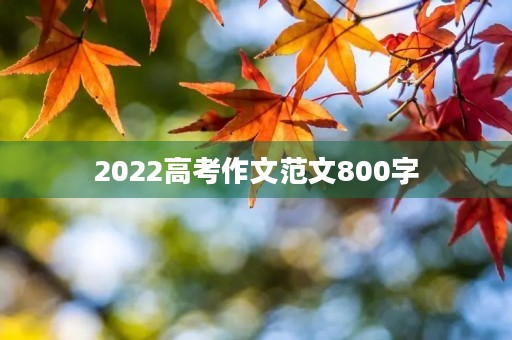 2022高考作文范文800字